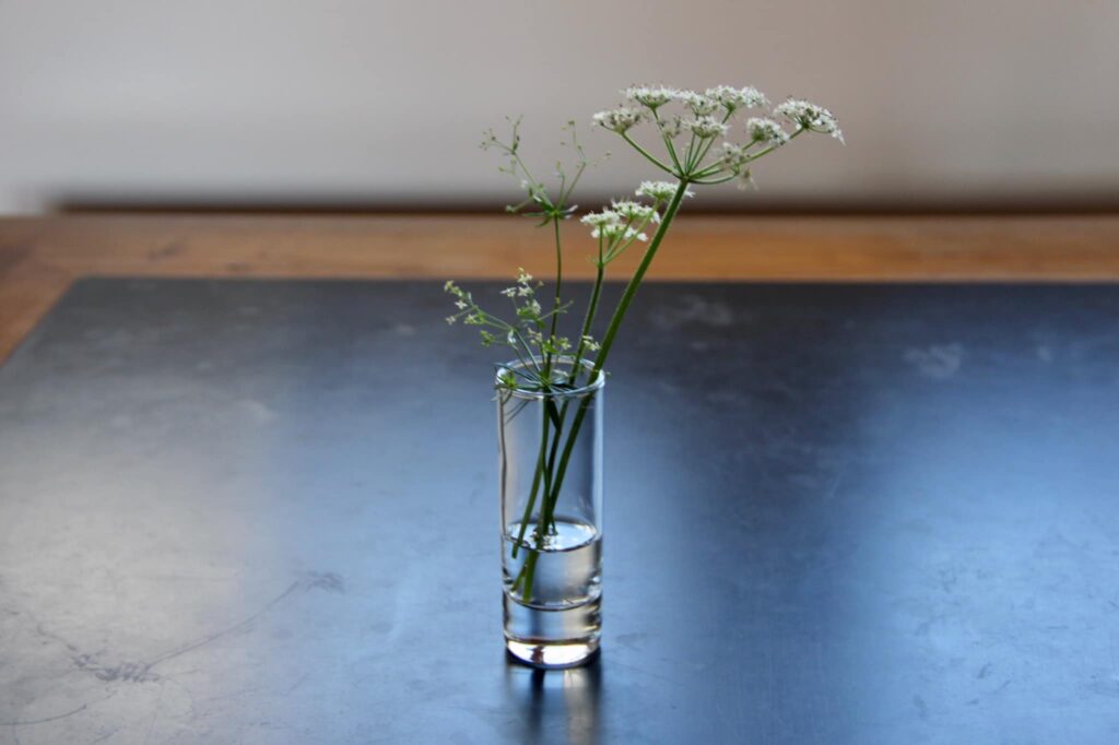 Wiesenblume in Vase