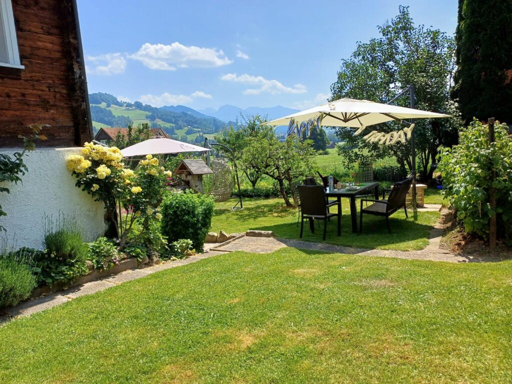 Blick in den Garten mit gelbem Rosenbusch und Wiese