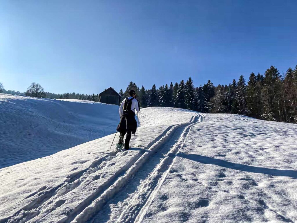Winterlandschaft mit Schneeschuhlaufen